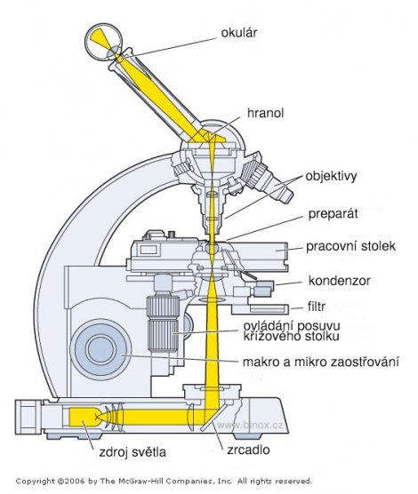 osvetleni osvetleni