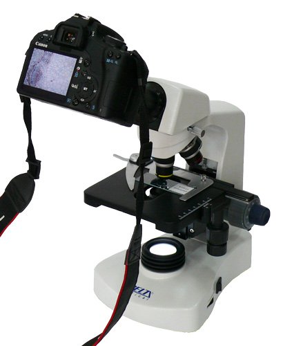 adapter-t-2 adapter-t-2